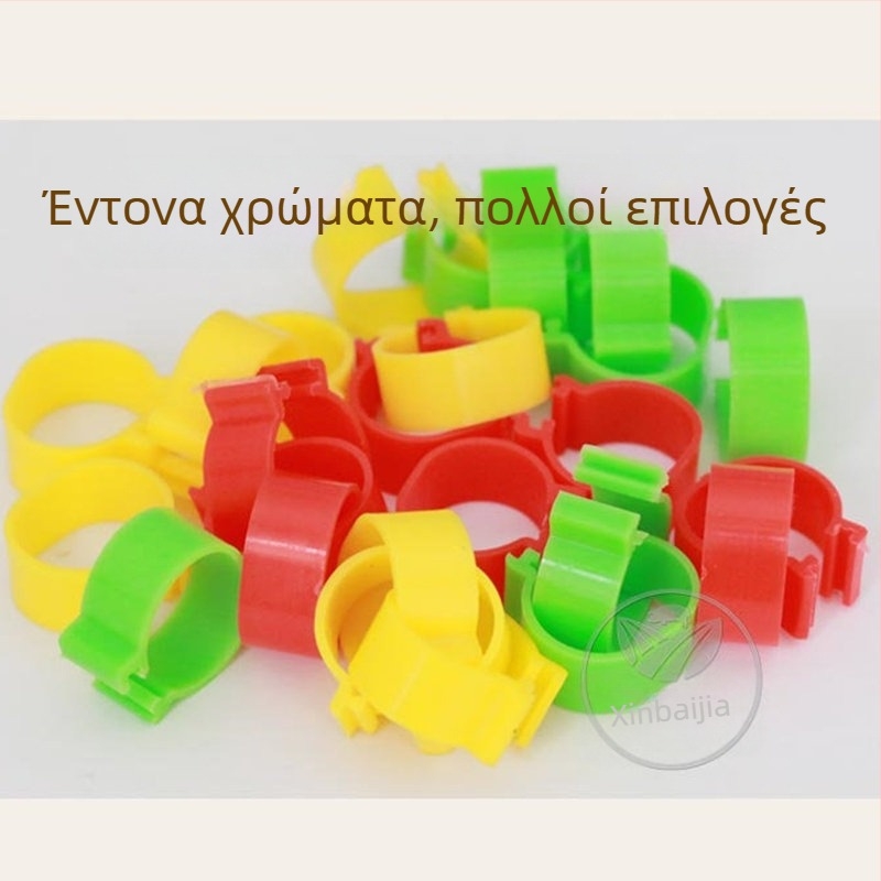Δακτυλίδι σήμανσης πτηνών με ανοιχτό κούμπωμα για κοτόπουλα, πάπιες και χήνες – Xin Baijia