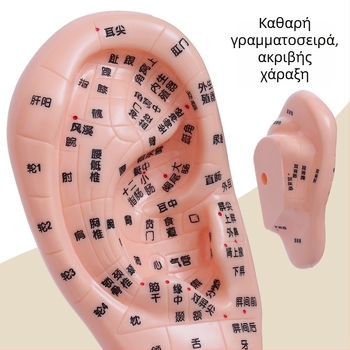 Μοντέλο σημείων βελονισμού χεριών, ποδιών και αυτιών με μεσημβρινών – Διάγραμμα ρεφλεξιολογίας για εκπαίδευση, πλαστικό, σετ 100 τεμάχια