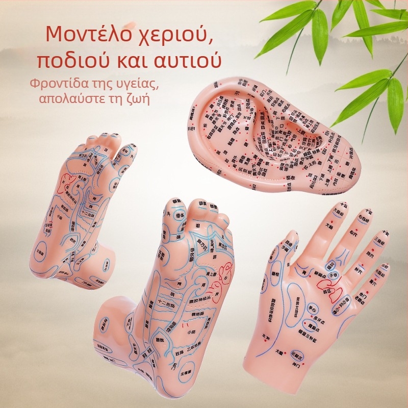 Μοντέλο σημείων βελονισμού χεριών, ποδιών και αυτιών με μεσημβρινών – Διάγραμμα ρεφλεξιολογίας για εκπαίδευση, πλαστικό, σετ 100 τεμάχια