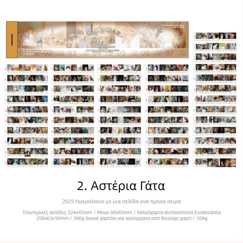 Ημερολόγιο 2025 με μία σελίδα ανά ημέρα και αποσπώμενες ημερομηνίες - ρετρό τυπογραφία Ευρώπης/Αμερικής - βάρος 104 g - Icy Sea