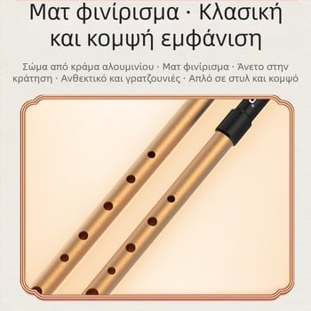 DBAO ιρλανδική σφυρίχτρα, τόνος C/D, έξι οπές, για μαθητές