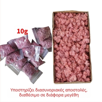 Φυτό μιμούμενο βρύα - χειροποίητο, βιονική επεξεργασία, διακόσμηση τοίχου για τοπία, συσκευασία από χαρτόνι