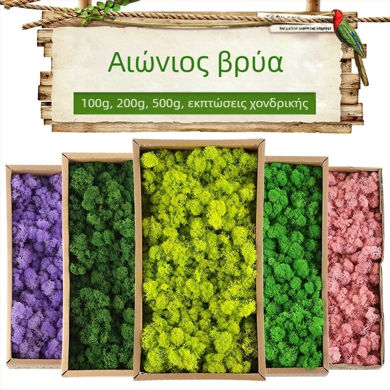 Φυτό μιμούμενο βρύα - χειροποίητο, βιονική επεξεργασία, διακόσμηση τοίχου για τοπία, συσκευασία από χαρτόνι