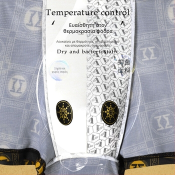 Ανδρικά μποξέρ σορτς, αναπνεύσιμα, γρήγορα στεγνωόν, αντιβακτηριακά, γεωμετρικό σχέδιο, πολυεστέρας 90–95%, μεσαία μέση, 3 τεμάχια