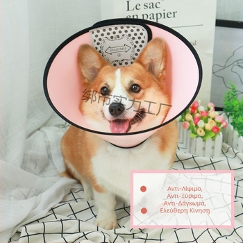 Κολάρο Ελισαβέτον για κατοικίδια – Εκτεταμένη προστασία από γλείψιμο και δάγκωμα, προστατευτικό λαιμού (Υλικό: Άλλο; Κρεμαστό: Άλλο; Σχήμα: Άλλο; Περίοδος: Χειμώνας 2025)