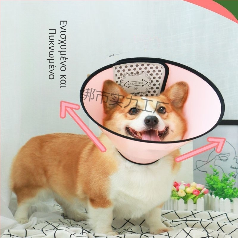 Κολάρο Ελισαβέτον για κατοικίδια – Εκτεταμένη προστασία από γλείψιμο και δάγκωμα, προστατευτικό λαιμού (Υλικό: Άλλο; Κρεμαστό: Άλλο; Σχήμα: Άλλο; Περίοδος: Χειμώνας 2025)