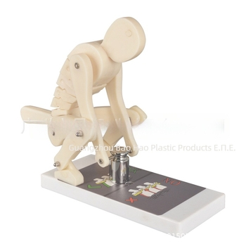 Πλαστικός μοντέλο επίδειξης φόρτισης της σπονδυλικής στήλης με βάση για ιατρική εκπαίδευση