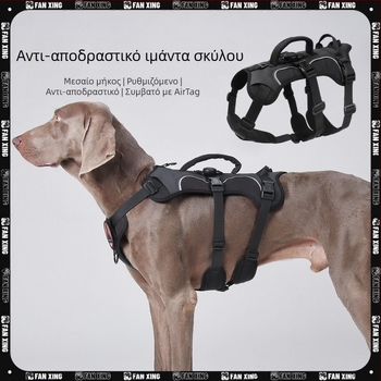 Θωρακικός ιμάντας σκύλου — Oxford ύφασμα, μοντέλο F5011, μη επεκτειόμενος ιμάντας, προέλευση Zhejiang