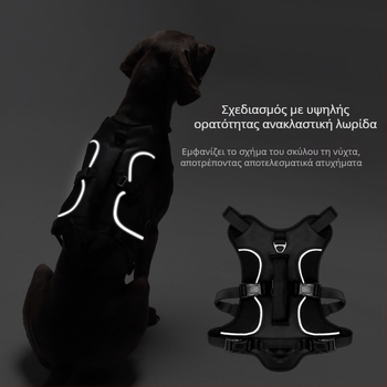 Θωρακικός ιμάντας σκύλου — Oxford ύφασμα, μοντέλο F5011, μη επεκτειόμενος ιμάντας, προέλευση Zhejiang