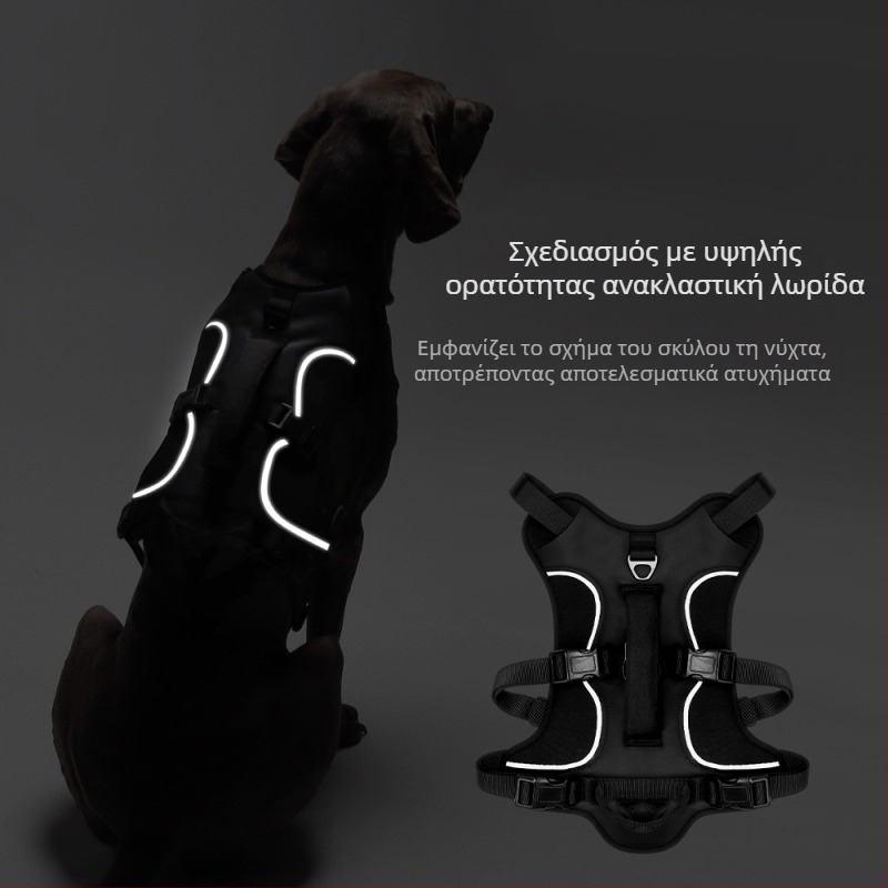 Θωρακικός ιμάντας σκύλου — Oxford ύφασμα, μοντέλο F5011, μη επεκτειόμενος ιμάντας, προέλευση Zhejiang