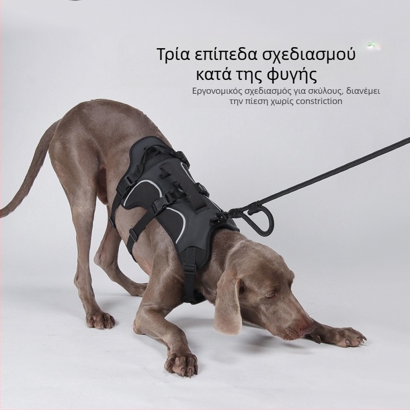 Θωρακικός ιμάντας σκύλου — Oxford ύφασμα, μοντέλο F5011, μη επεκτειόμενος ιμάντας, προέλευση Zhejiang