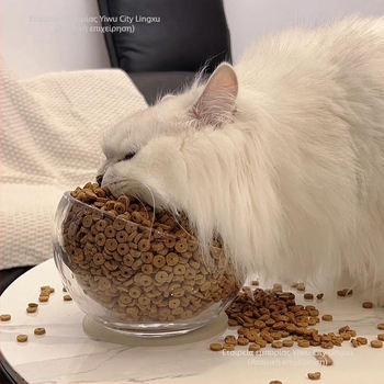 Κούπα ταΐσμού γάτας — γυάλινη, μη διαρρέουσα, με κεκλιμένο άνοιγμα, μοντέλο #2235