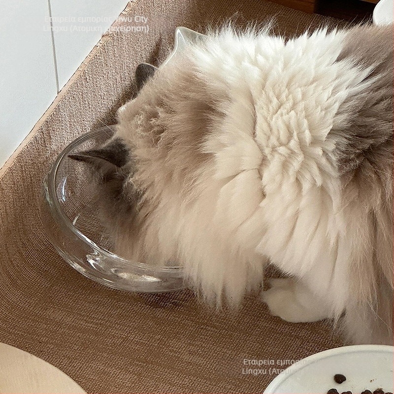 Κούπα ταΐσμού γάτας — γυάλινη, μη διαρρέουσα, με κεκλιμένο άνοιγμα, μοντέλο #2235