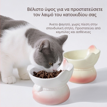 Κεραμικό μπολ γάτας με διαβάθμιση χρωμάτων για σίτιση και πόση