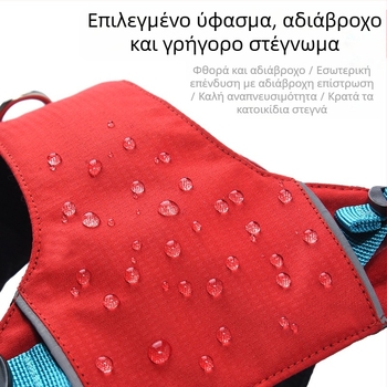 Σετ λουριού και θώρακα για σκύλους - ελαφρύ, διαπνέον, μη ελκτικό - κατάλληλο για μικρά σκυλιά, εξωτερικές βόλτες