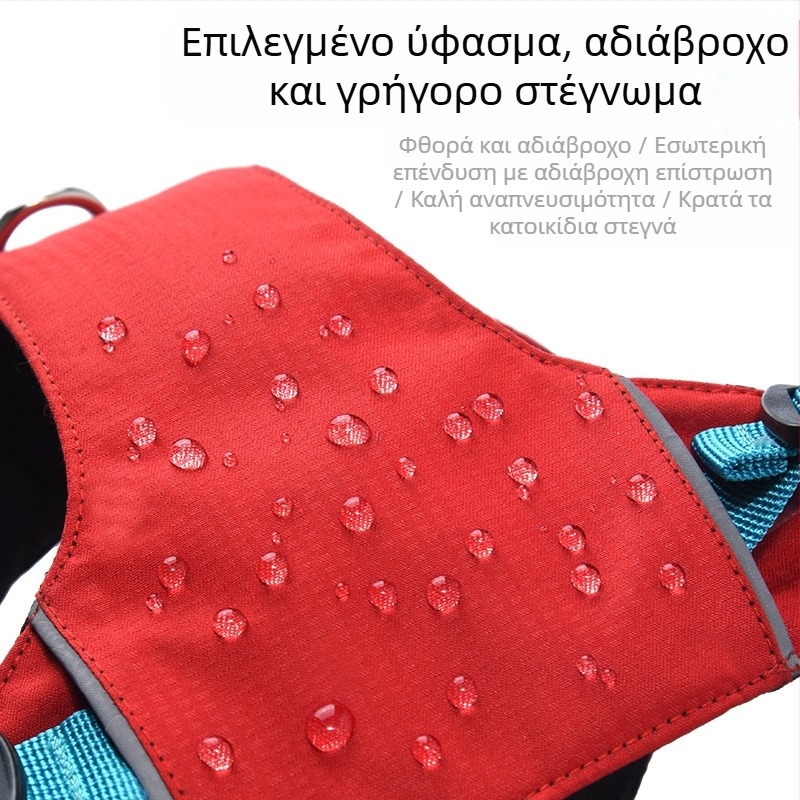 Σετ λουριού και θώρακα για σκύλους - ελαφρύ, διαπνέον, μη ελκτικό - κατάλληλο για μικρά σκυλιά, εξωτερικές βόλτες