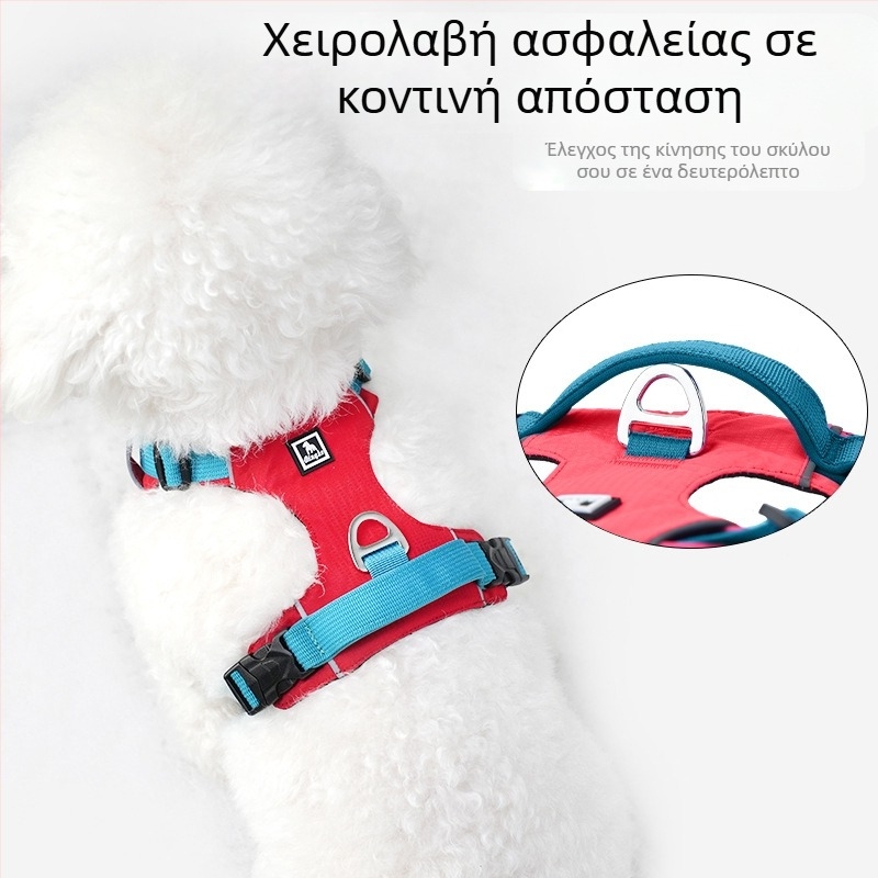 Σετ λουριού και θώρακα για σκύλους - ελαφρύ, διαπνέον, μη ελκτικό - κατάλληλο για μικρά σκυλιά, εξωτερικές βόλτες