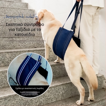 Ζώνη αποκατάστασης για σκύλους με ρυθμιζόμενη αντανακλαστική λουρί (Υλικό: Oxford ύφασμα / Teddy βελούδινο; Ρυθμιζόμενο; Αντανακλαστικό; Μάρκα: To the stars)