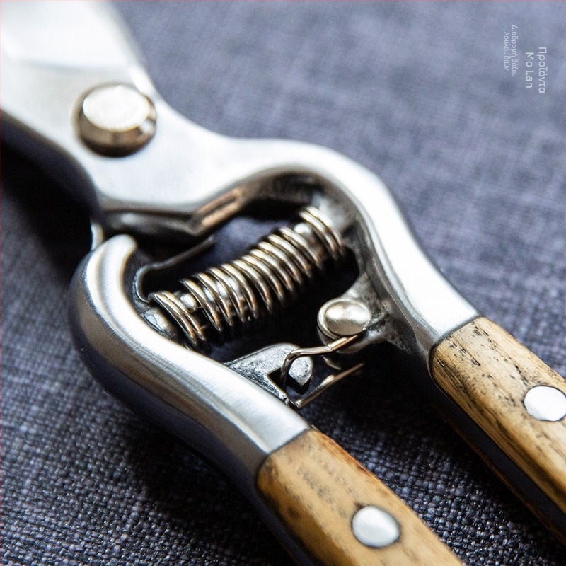 Ψαλίδι κλαδέματος από ανοξείδωτο ατσάλι για οικιακή κηπουρική