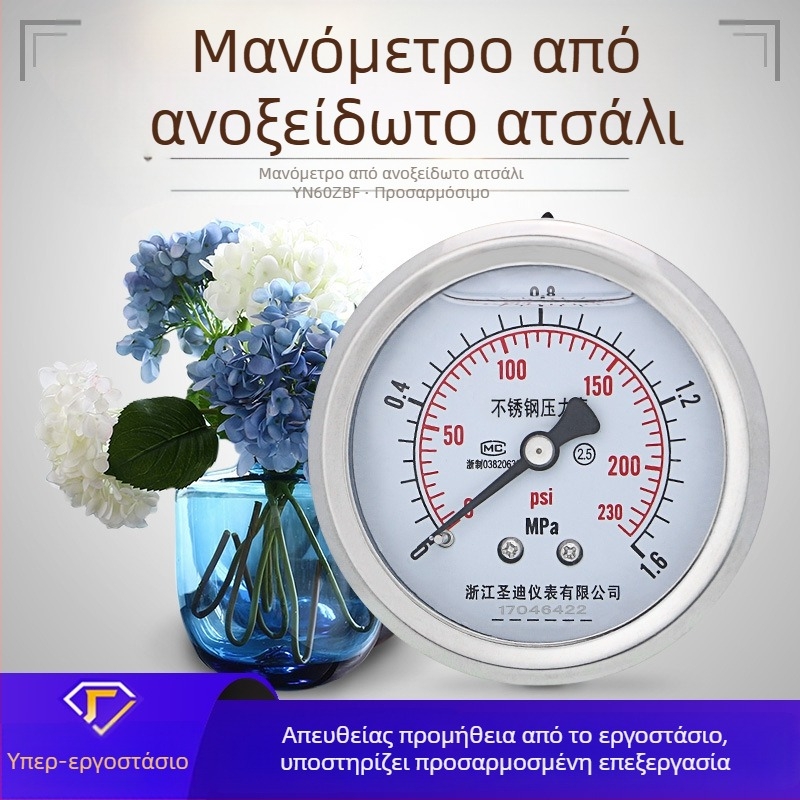 YN60ZBF πιερόμετρο τύπου πάνελ από ανοξείδωτο χάλυβα, αξονικά χωρίς άκρες, ανθεκτικό στους κραδασμούς – υδραυλικό μετρητικό όργανο πίεσης