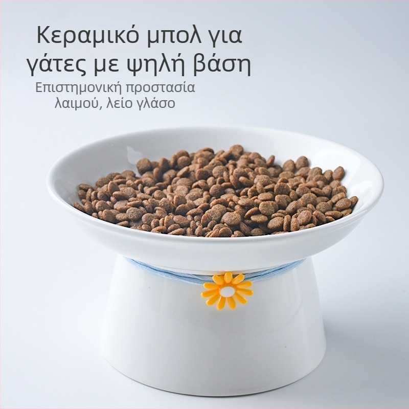 Κεραμικό μπολ για γάτες με ψηλά πόδια, Nordic στυλ, μπολ φαγητού και νερού με σχεδιασμό προστασίας αυχένα, διευκολύνει την πέψη