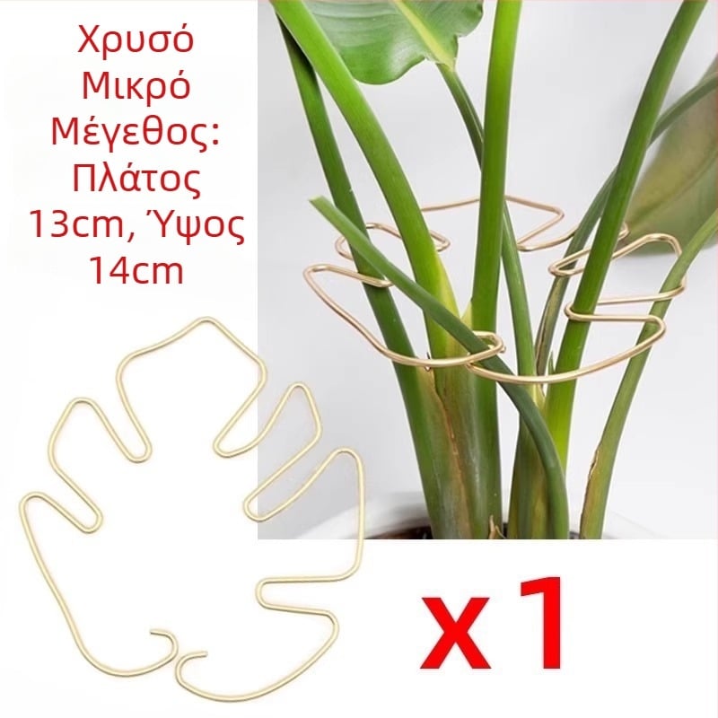 Monstera – Υποστηρικτικός Ράβδος για Υδροπονία, Διαμόρφωση Φυτών