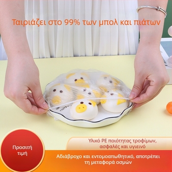 Μονοχρηστικά PE καλύμματα ψυγείου, προστασία από σκόνη και οσμές, 300 τεμάχια