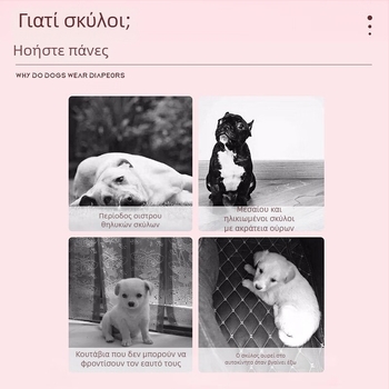 Πάνες γάτας για αρσενικές και θηλυκές γάτες, φυσιολογικά παντελόνια, παντελόνια κατά ζευγαρώματος και εγκυμοσύνης