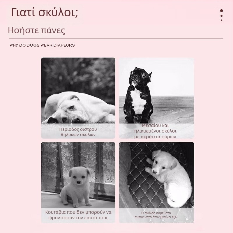 Πάνες γάτας για αρσενικές και θηλυκές γάτες, φυσιολογικά παντελόνια, παντελόνια κατά ζευγαρώματος και εγκυμοσύνης