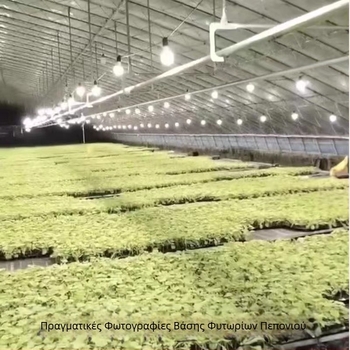 LED φως ανάπτυξης φυτών πλήρους φάσματος με εξωτερικό αδιάβροχο κιτ για φωτισμό dragon fruit