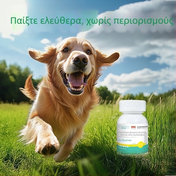 100 δισκία εσωτερικού αποπαρασίτωσης για γάτες και σκύλους — φυτικό εκχύλισμα, ευχάριστη γεύση