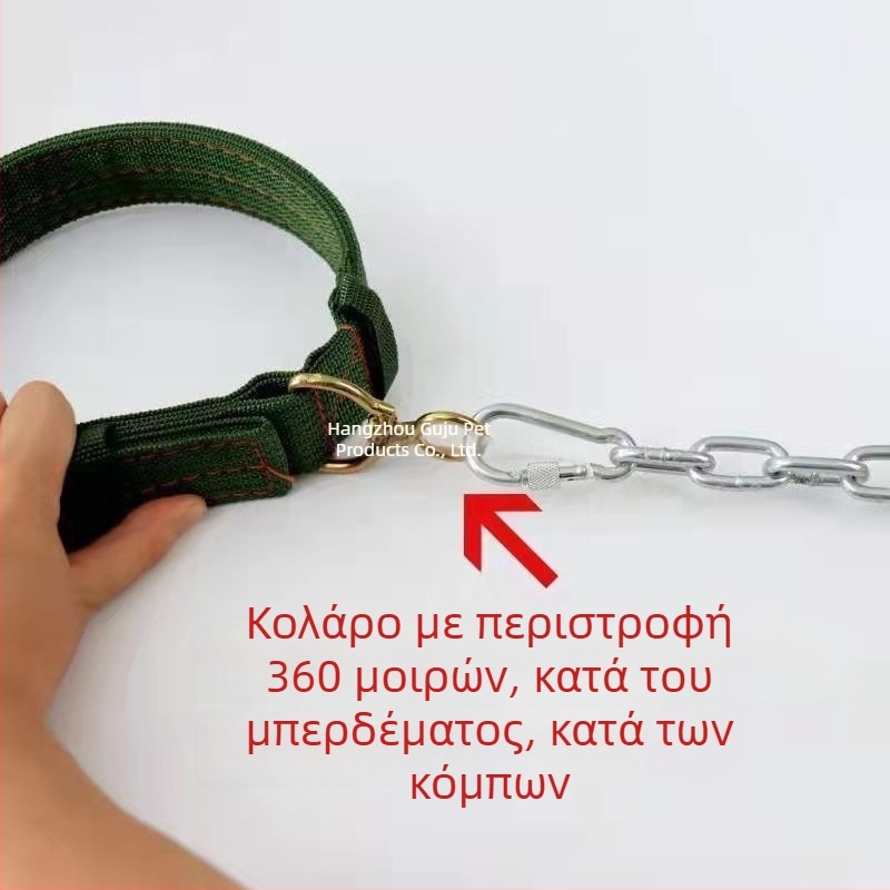 Λουρί σκύλου κατά του δαγκώματος με αλυσίδα ανθεκτική στη σκουριά, αλυσίδα σκύλου και κολάρο