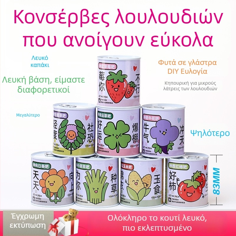 Σετ μικρών φυτών γραφείου σε κονσερβοκουτί με σπόρους ηλίανθου, φράουλας, ντομάτας και τριφύλλι — εύκολα στην καλλιέργεια, χαμηλή συντήρηση, ιδανικό δώρο για μαθητές.