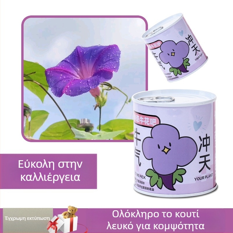 Σετ μικρών φυτών γραφείου σε κονσερβοκουτί με σπόρους ηλίανθου, φράουλας, ντομάτας και τριφύλλι — εύκολα στην καλλιέργεια, χαμηλή συντήρηση, ιδανικό δώρο για μαθητές.