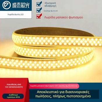 Εξωτερική LED λωρίδα 220V IP65 αδιάβροχη, 348 LED ανά μέτρο, 22W, ευρεία δέσμη 180°, μονοχρωματική, 2835 SMD, ισχυρός αρχιτεκτονικός φωτισμός για σήραγγες και γέφυρες