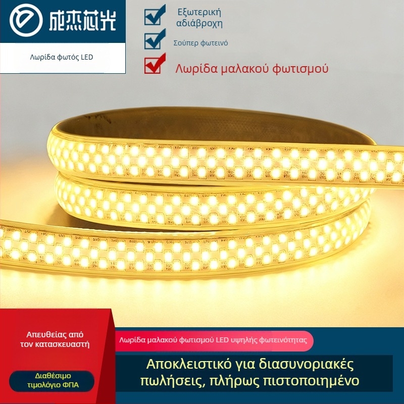 Εξωτερική LED λωρίδα 220V IP65 αδιάβροχη, 348 LED ανά μέτρο, 22W, ευρεία δέσμη 180°, μονοχρωματική, 2835 SMD, ισχυρός αρχιτεκτονικός φωτισμός για σήραγγες και γέφυρες