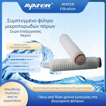 5 ιντσών PTFE πτυχωτό φίλτρο με μεμβράνη PP μικροπόρων, 0,22 μm, διεπαφή 226