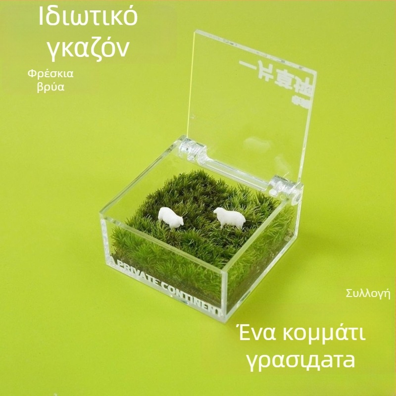 Μικρό τοπίο με βρύα σε κουτί βρύων — χειροποίητο, προσαρμόσιμο, υλικό βρύα, δυνατότητα εκτύπωσης λογοτύπου