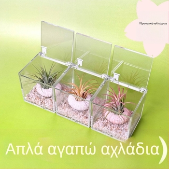 Μίνι σετ φυτών χωρίς χώμα για γραφείο, χειροποίητο, προσαρμόσιμο (Υλικό: Φυτό; Κατασκευή: Χειροποίητο; Επεξεργασία/Προσαρμογή: Υποστηρίζει προσαρμογή)