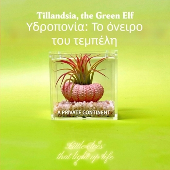 Μίνι σετ φυτών χωρίς χώμα για γραφείο, χειροποίητο, προσαρμόσιμο (Υλικό: Φυτό; Κατασκευή: Χειροποίητο; Επεξεργασία/Προσαρμογή: Υποστηρίζει προσαρμογή)