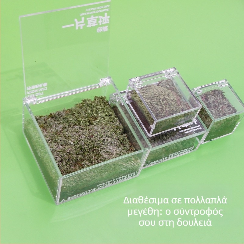Rice Magpie Διαφανικό Ακρυλικό Moss Micro Landscape Επιτραπέζιο Μπουκάλι — Προσαρμόσιμη Μορφή, Απλός Σχεδιασμός, Εκτύπωση Λογότυπου Διαθέσιμη