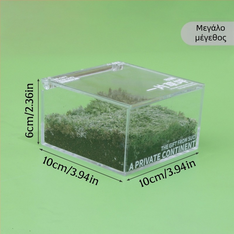 Rice Magpie Διαφανικό Ακρυλικό Moss Micro Landscape Επιτραπέζιο Μπουκάλι — Προσαρμόσιμη Μορφή, Απλός Σχεδιασμός, Εκτύπωση Λογότυπου Διαθέσιμη
