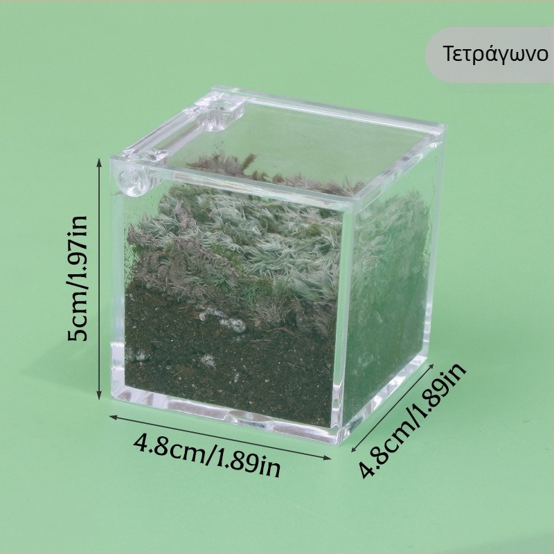 Rice Magpie Διαφανικό Ακρυλικό Moss Micro Landscape Επιτραπέζιο Μπουκάλι — Προσαρμόσιμη Μορφή, Απλός Σχεδιασμός, Εκτύπωση Λογότυπου Διαθέσιμη