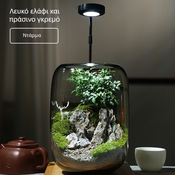 Γυάλινο διακοσμητικό με βρύα – μικροτοπία σε στυλ δάσους ελαφιών, φυτική χειροτεχνία, συσκευασία σε αφρώδες κουτί