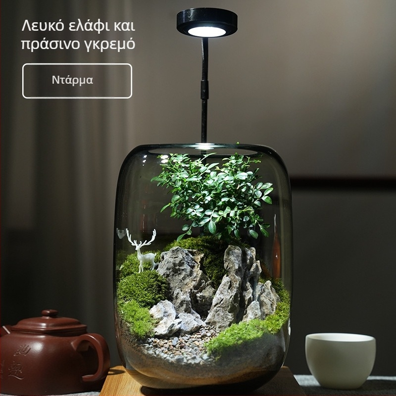 Γυάλινο διακοσμητικό με βρύα – μικροτοπία σε στυλ δάσους ελαφιών, φυτική χειροτεχνία, συσκευασία σε αφρώδες κουτί
