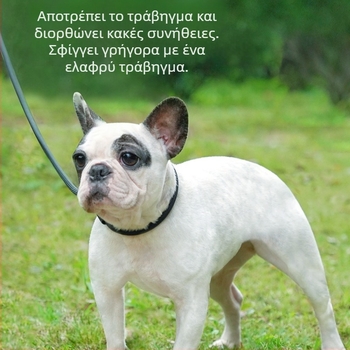Νάιλον λουρί σκύλου με Π-αλυσίδα, ανακλαστικό για νυχτερινές βόλτες, για μικρά και μεσαία σκυλιά, λουρί εκπαίδευσης