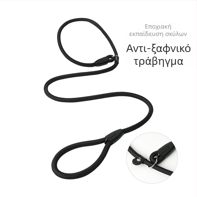 Νάιλον λουρί σκύλου με Π-αλυσίδα, ανακλαστικό για νυχτερινές βόλτες, για μικρά και μεσαία σκυλιά, λουρί εκπαίδευσης