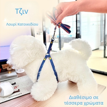 Σετ λουριού σκύλου, γιλέκου και ζώνης για μεγάλους σκύλους