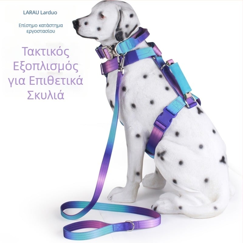 Σετ λουριού για κατοικίδια, γιλέκο εκπαίδευσης με τακτικό κολάρο για εκπαίδευση σε εξωτερικούς χώρους