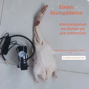 Πολυχρηστική Αντλία Φουσκώματος για Ψητά Πουλερικά και Κρέας (240V, 220W, USB, Ψηφιακή Οθόνη, >2 κύλινδροι)